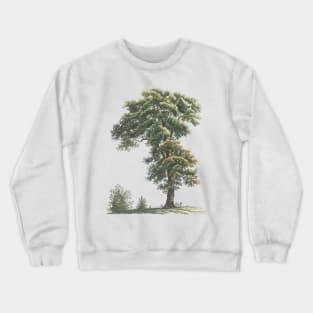 Trees Oil Painting Crewneck Sweatshirt